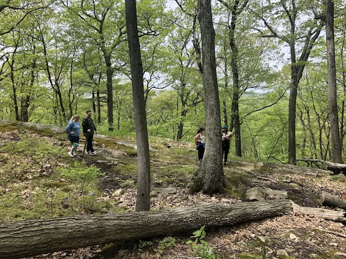 Ramapo Dunderberg Trailhead Picture 3