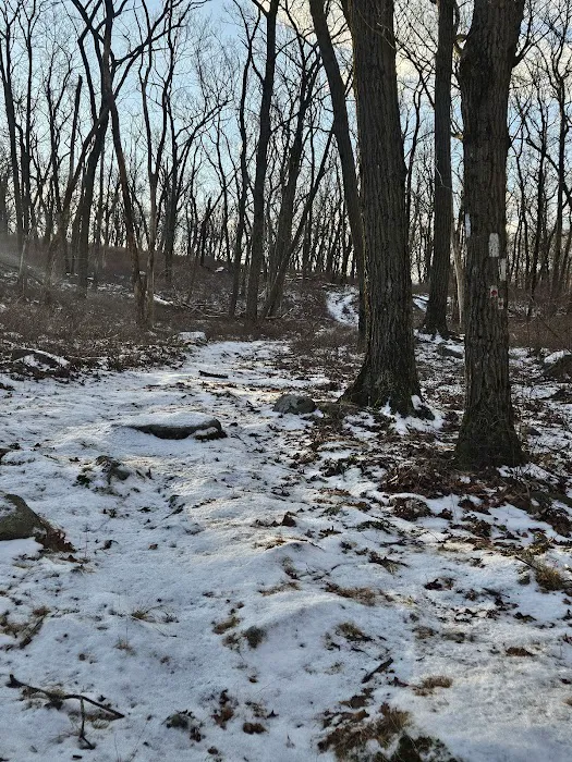 Ramapo Dunderberg Trailhead Picture 5