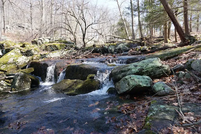 Ramapo Dunderberg Trailhead Picture 1