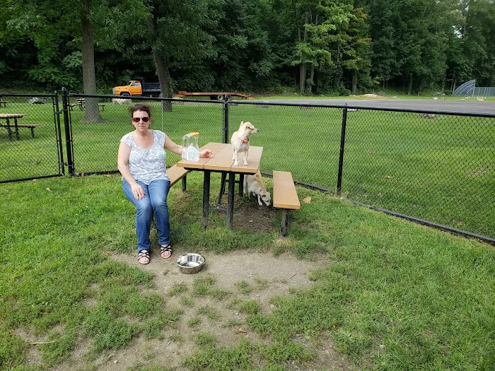 Tuxedo Dog Park Picture 5