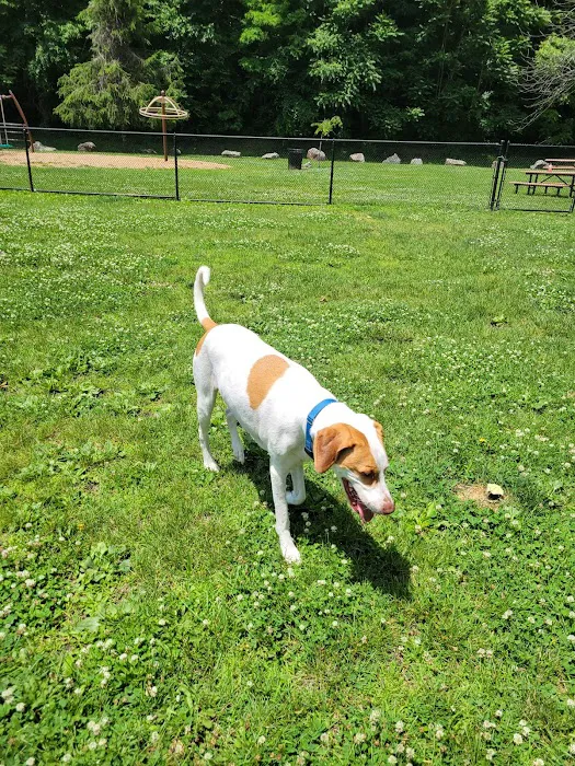 Tuxedo Dog Park Picture 10