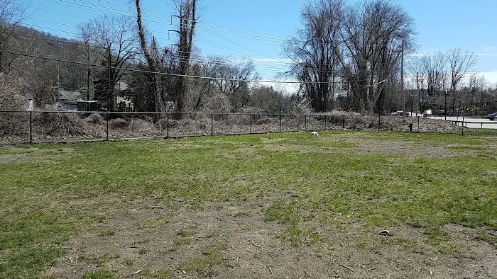 Tuxedo Dog Park Picture 7