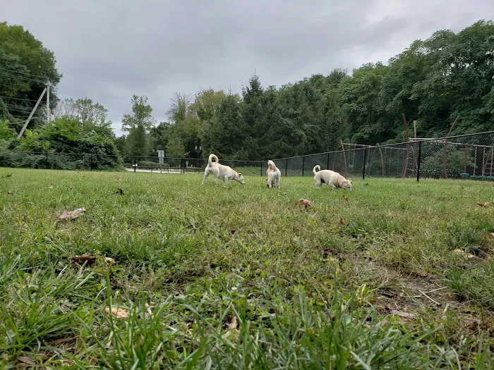 Tuxedo Dog Park Picture 8
