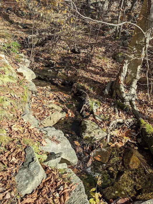 1777 Trailhead Picture 9