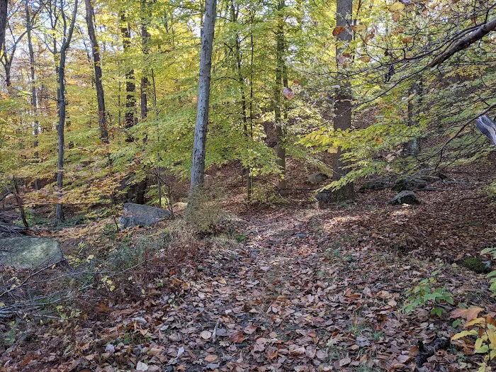 1777 Trailhead Picture 4