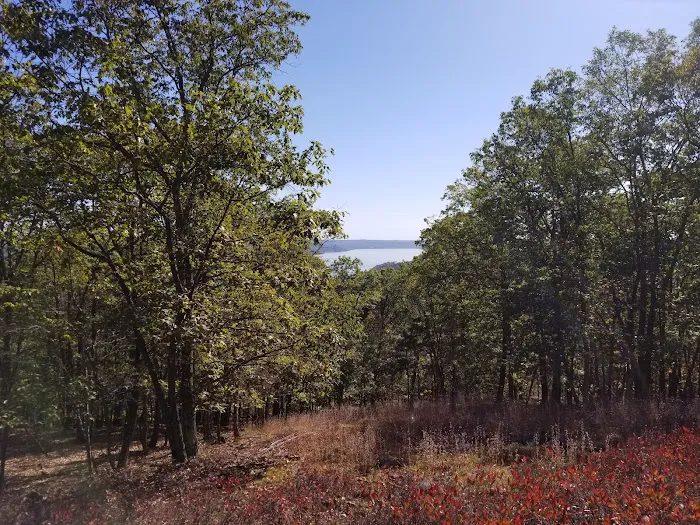 Wayne-Washington Lookout Park Picture 2