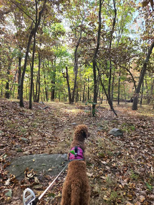 Hudson Highland Gateway Park Picture 10