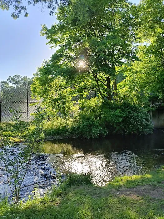 Sprout Brook Park Picture 9