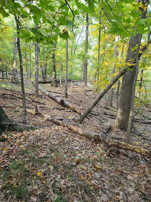 Sprout Brook Park Picture 2