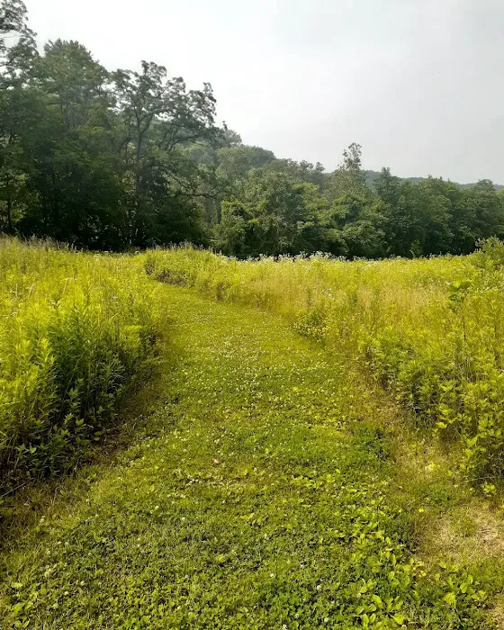 Sprout Brook Park Picture 8