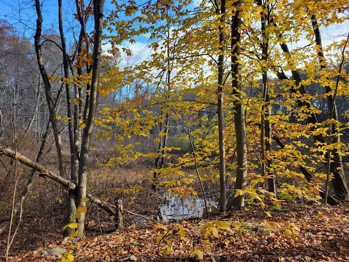 Hudson Highlands Gateway Park Overlook Pond Trailhead Picture 9