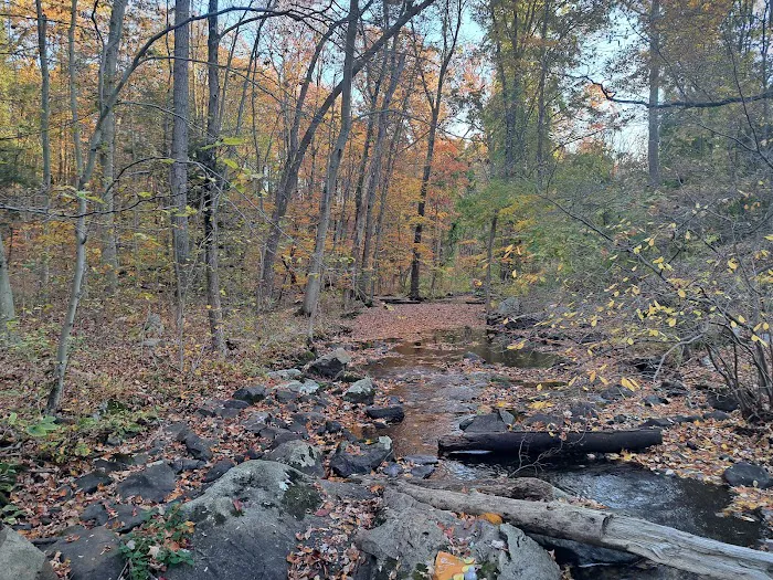 Hudson Highlands Gateway Park Overlook Pond Trailhead Picture 3