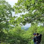Hudson Highland Park Overlook