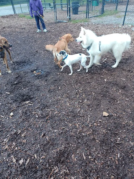 Putnam Valley Dog Park Picture 1