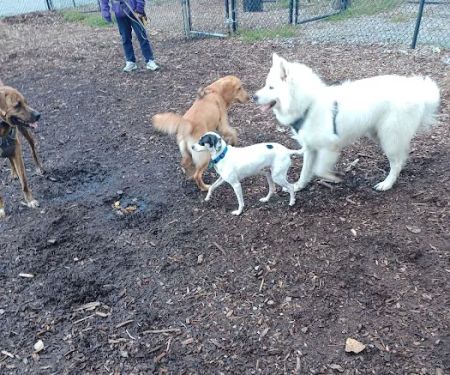 Putnam Valley Dog Park