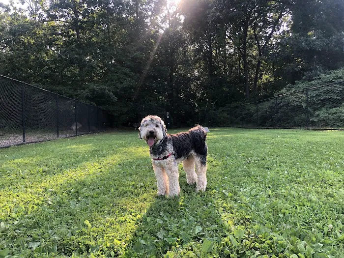 Putnam Valley Dog Park Picture 2