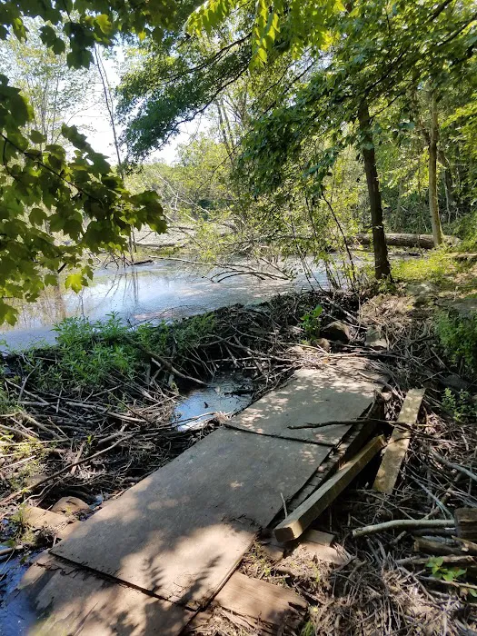 Putnam Valley Town Park Picture 6