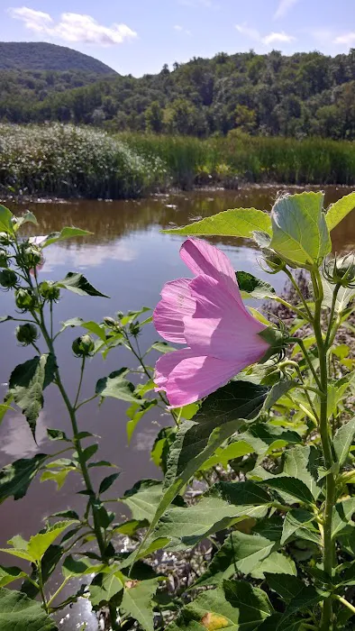 Iona Island Component Hudson River National Estuarine Research Reserve Picture 7