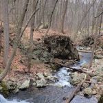 Doodletown Trailhead