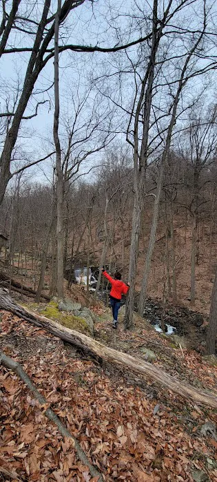 Doodletown Trailhead Picture 5
