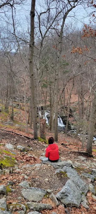 Doodletown Trailhead Picture 4