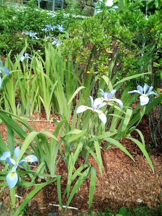Prayer Garden Picture 6