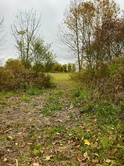 Airport Park Picture 5