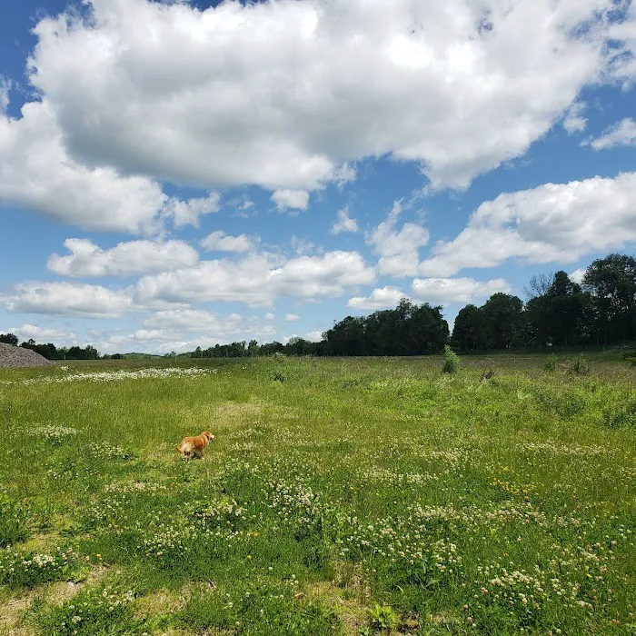 Airport Park Picture 9
