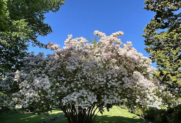 Ballard Park Picture 2