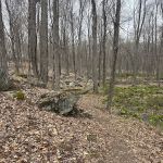 Nod Hill Refuge