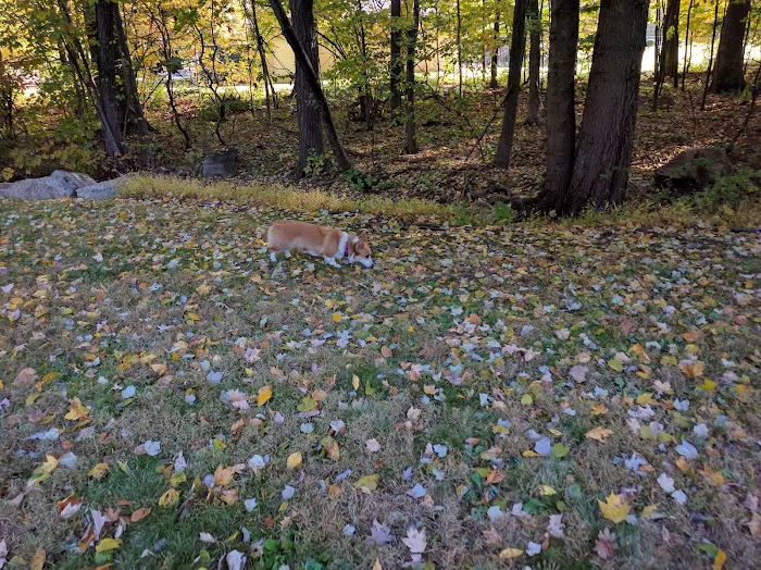 Sachem Hill Field Picture 2