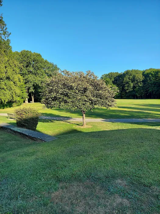Cranbury dog park Picture 6