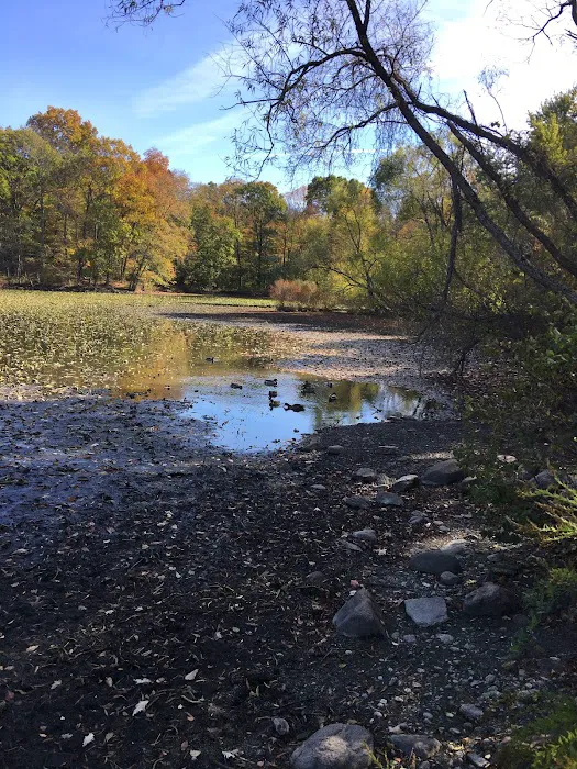 Woods Pond Park Picture 1