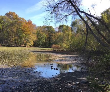 Woods Pond Park
