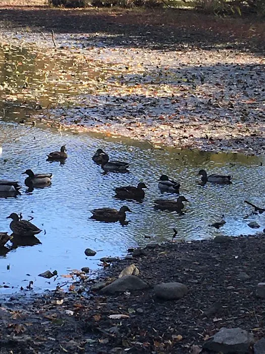 Woods Pond Park Picture 3