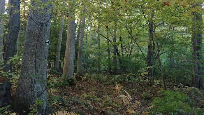 Stonebridge Waterfowl Preserve Picture 1