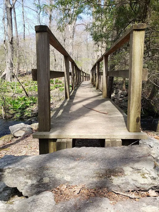 Stonebridge Waterfowl Preserve Picture 2