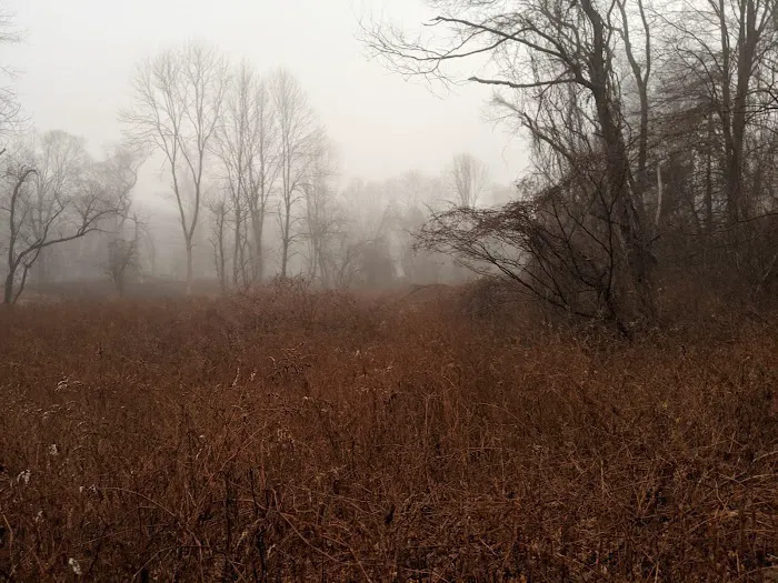 Stonebridge Waterfowl Preserve Picture 7