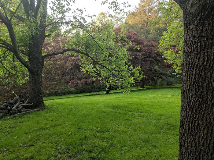 Bisceglie Park Picture 10