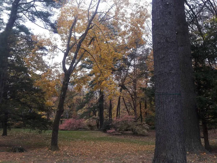 Betts Brook Park Picture 4