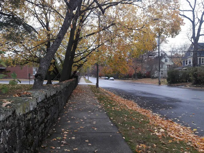 Betts Brook Park Picture 8