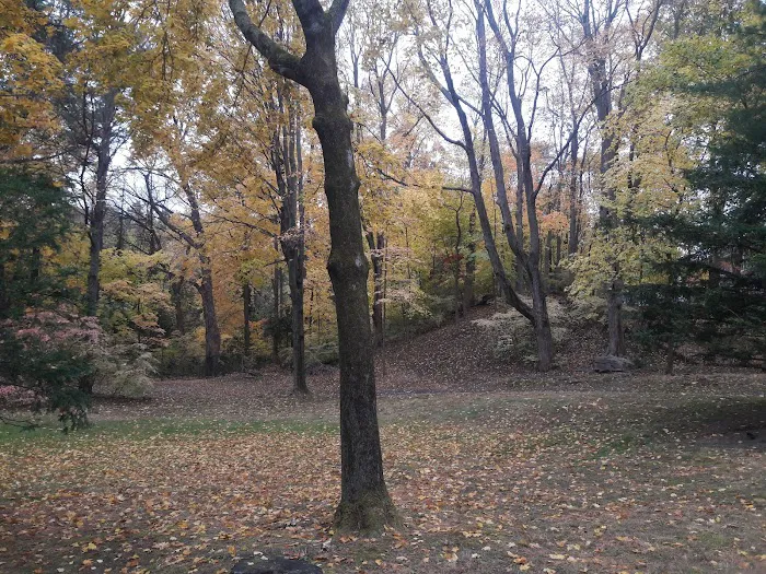 Betts Brook Park Picture 6