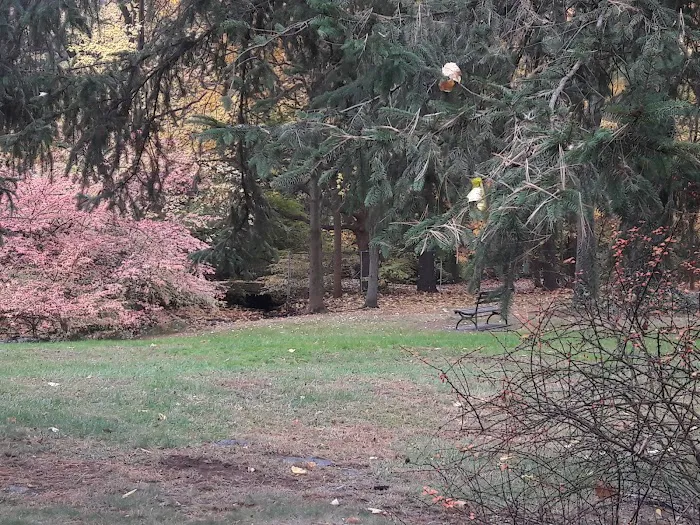 Betts Brook Park Picture 1