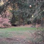 Betts Brook Park