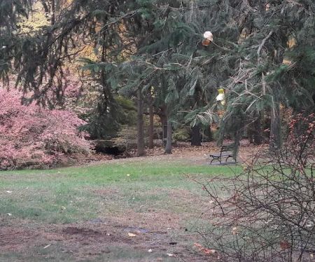 Betts Brook Park