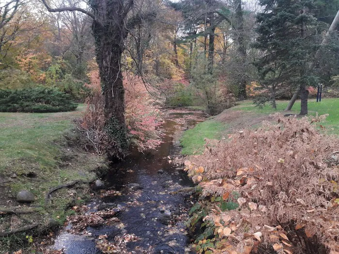 Betts Brook Park Picture 2