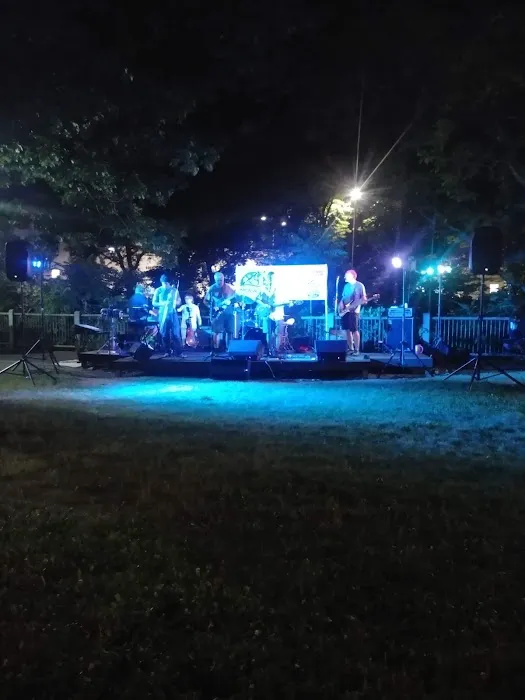 Irving Freese Park Picture 1