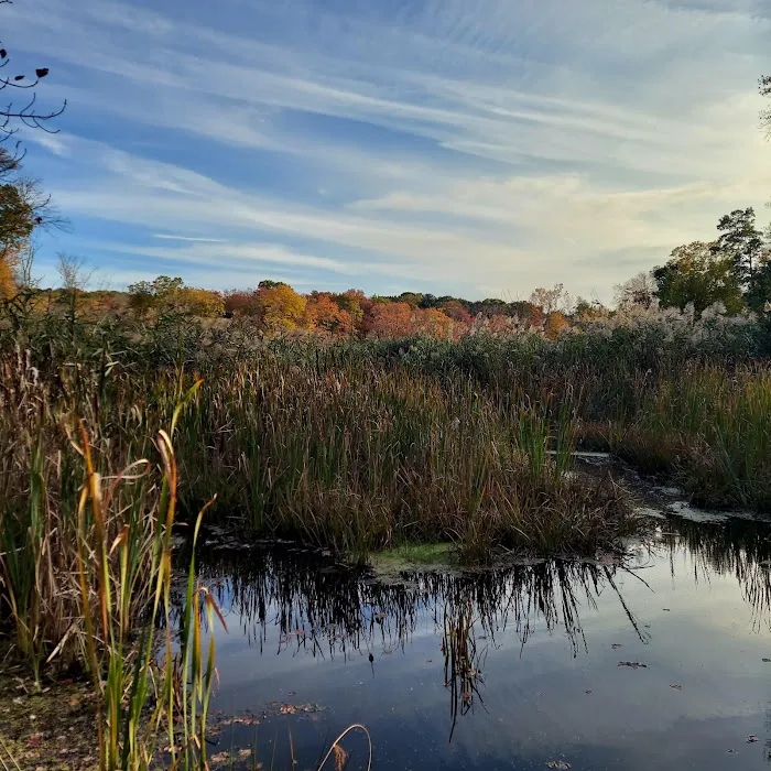 Partrick Wetlands Picture 8