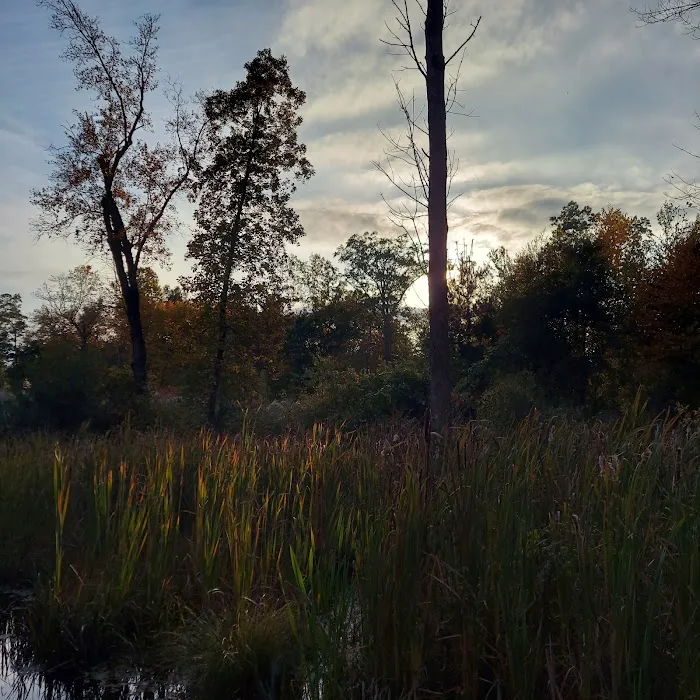 Partrick Wetlands Picture 7