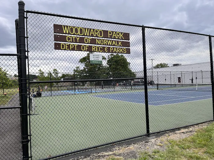 Woodward Avenue Park Picture 1
